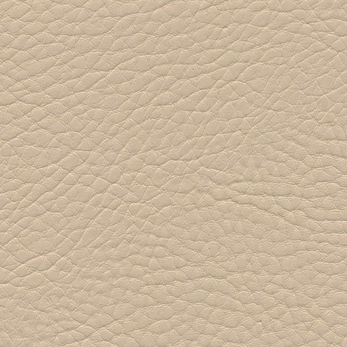 Simili Cuir Exterior Grain Beige -  W0307