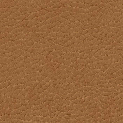 Simili Cuir Exterior Grain Camel -  W0309