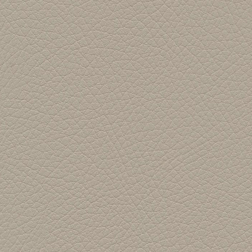 Simili Cuir Grano Fine Taupe - W0503