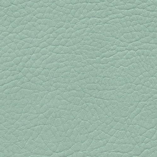 Simili Cuir Grano Grande Menthe - W0627