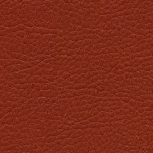 Echantillon Gamme Grano Grande