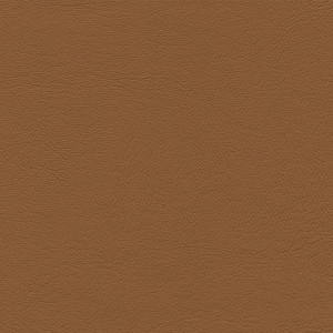 Echantillon Gamme Perfecto