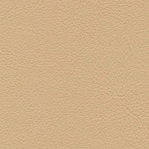 Simili Cuir Respirante Beige - W0201