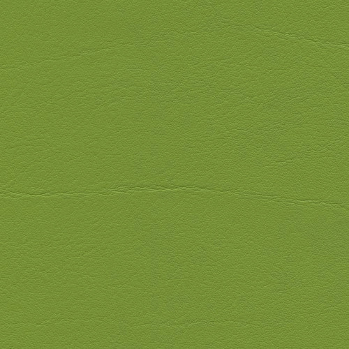 Simili Cuir Venato Vert Pomme - W0718